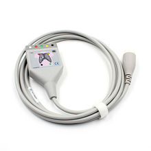 �m����w���֌���12ᘷ��w5����늱O�o�x����|