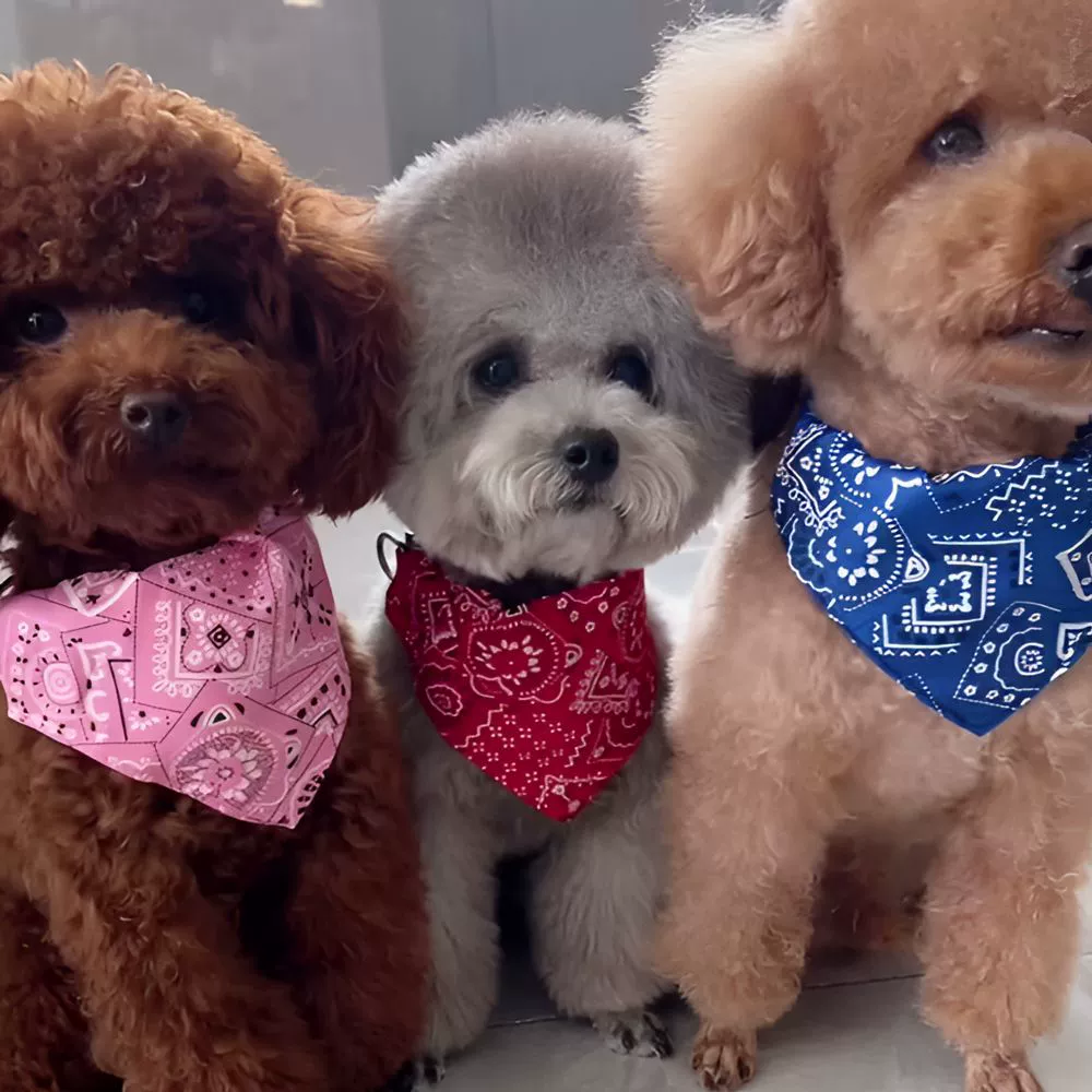 Полотенце для слюны домашних животных, треугольное полотенце для кошек в милом стиле, шарф для собак, регулируемое треугольное полотенце для собак маленького и среднего размера с карманом для слюны