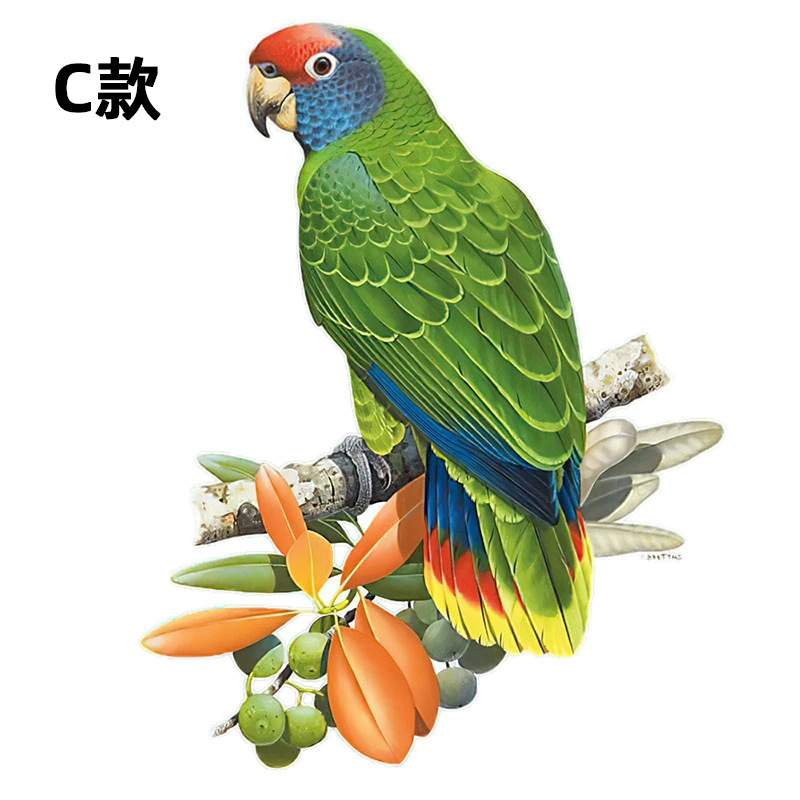 3D simulación lindo loro pájaros personalizado creativo coche pegatinas de vidrio coche pegatinas puerta arañazos decorativos bloqueo pegatinas