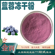蓝莓冻干粉200目 低温干燥 蓝莓花青素 冻干粉 500克/装 厂家直供