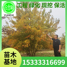 5�׸߅���Ԫ���� �|������Ԫ���� ���~��ľ ������Ǘ� Ԫ����