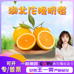 �����x����������Ě�� ���r���� ����ˮ�����Ӵ��l ��Ѫ��