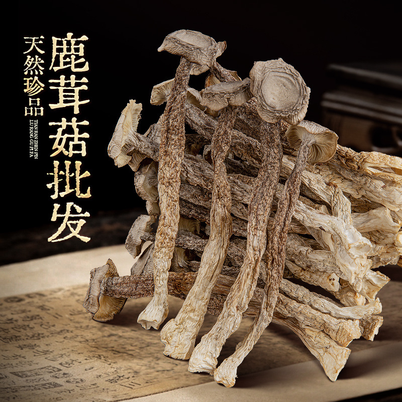 鹿茸菇干货500g厂家鹿茸菌云南非野生菌菇煲汤蘑菇批发团购菌汤