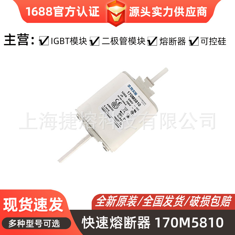 170M5810 170M5811 170M5811D 智能快速熔断器 型号齐全全新现货