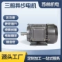 三相异步功率ye3-80m-4电动机