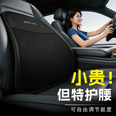 Waist support | Cushion, Lumbar Support Pad