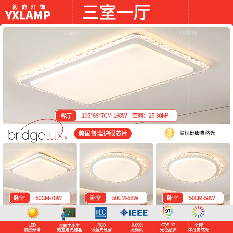 American Puri chip - tres habitaciones y una sala