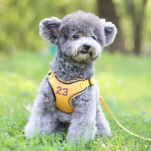 狗狗牵引绳中小型犬狗绳遛狗绳柯基柴犬泰迪防勒胸背狗绳狗胸背带