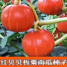 ��Ŵ�t���ϹϷN�Ӽt�����ϹϷN�Ѽt�������Ϲϴ��＾��Ŵ�tƤ�Ϲ�