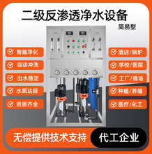 双级反渗透设备商用二级RO净水器纯净水处理洗衣液洗化去离子EDI