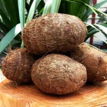 雲南農家小芋頭10斤新鮮現挖 芋頭芋仔芋艿 粉糯香生態種植2斤