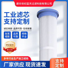 工業用ダストフィルターカートリッジメーカー卸売ダストフィルターカートリッジエアフィルターカートリッジ真空フィルターカートリッジ