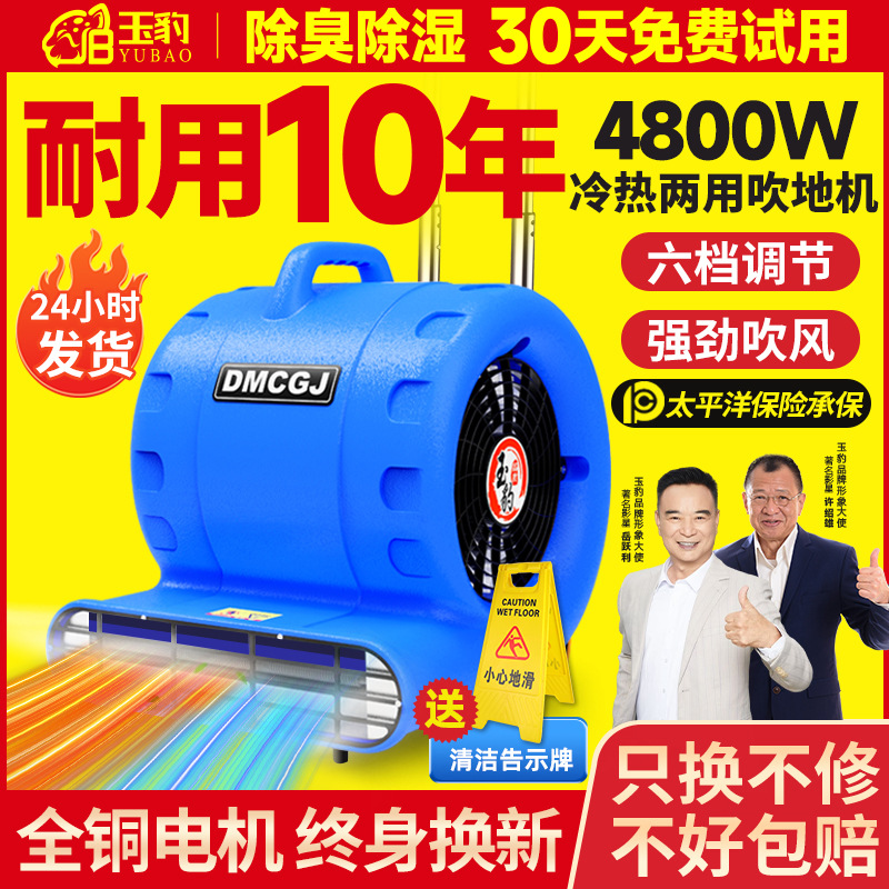 Floor Blower Super Power Floor Dryer Commercial Hair Dryer Household Bathroom Toilet Powerful Dehumidification and Deodorization