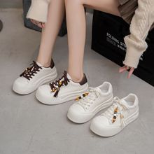 2026�¿����e�\�Ӱ�Ь��ɫ�p�����С��Ь�ɸ���^������Ь���l