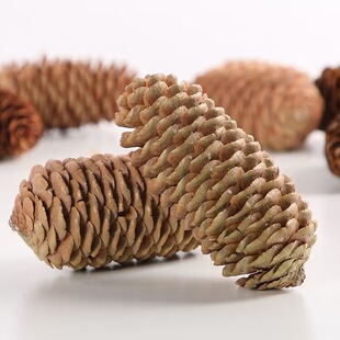 �������ɼ�ɹ������ɻ�diy�����ֹ���Ȼ�[��ɭϵ�ɹ�diy���ϏS��