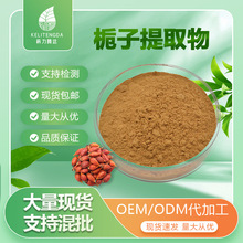 栀子提取物高规格水溶性栀子花粉食品化妆品级护肤原料粉末 工厂