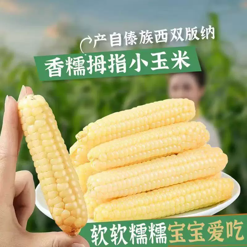 拇指小玉米502g西双版纳新鲜香糯玉米棒代餐独立包装