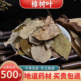 【精选货】樟树叶中药材 樟叶新鲜干货 香樟树叶干叶 药用樟木叶-阿里巴巴