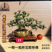 _hɰ辰ӭֲ҃ȿ͏d[kB