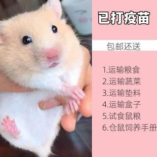 С�}������Ѵ�������w����һ���y������С�����z���ͻ\������