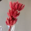 Watermelon Red Rabbit Tail A bunch of about 60 pieces