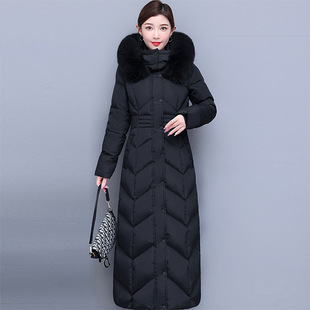 �¿��^ϥ��q��Ů���|�L��������Ů�b���������q������ë�I����Ů