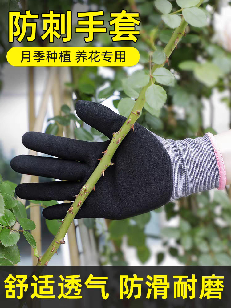 tb_image_share_1702997546618.j