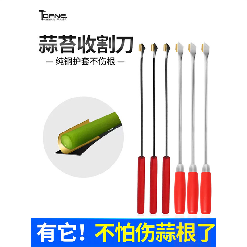 Garlic sprouts artifact garlic sprouts harvesting knife garlic sprouts pulling peeling lifting and beating garlic sprouts garlic sprouts picking tools