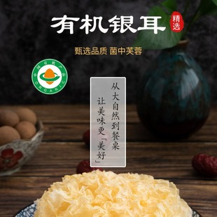 �ЙC�y������������y����؛��ľ��ѩ��Ŵ�� ֱ�N֧�ִ��l���l