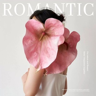 ���ͷ��氲�滨�t�ư��Ʒ��� �Ĕz���߿͏d�Ƶ�Ӱ��g��ˇ����