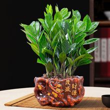 ���X�����Դ���҃�ֲ����ؔ�{���Gֲ���ܰlؔ��͏d�辰�ļ�����