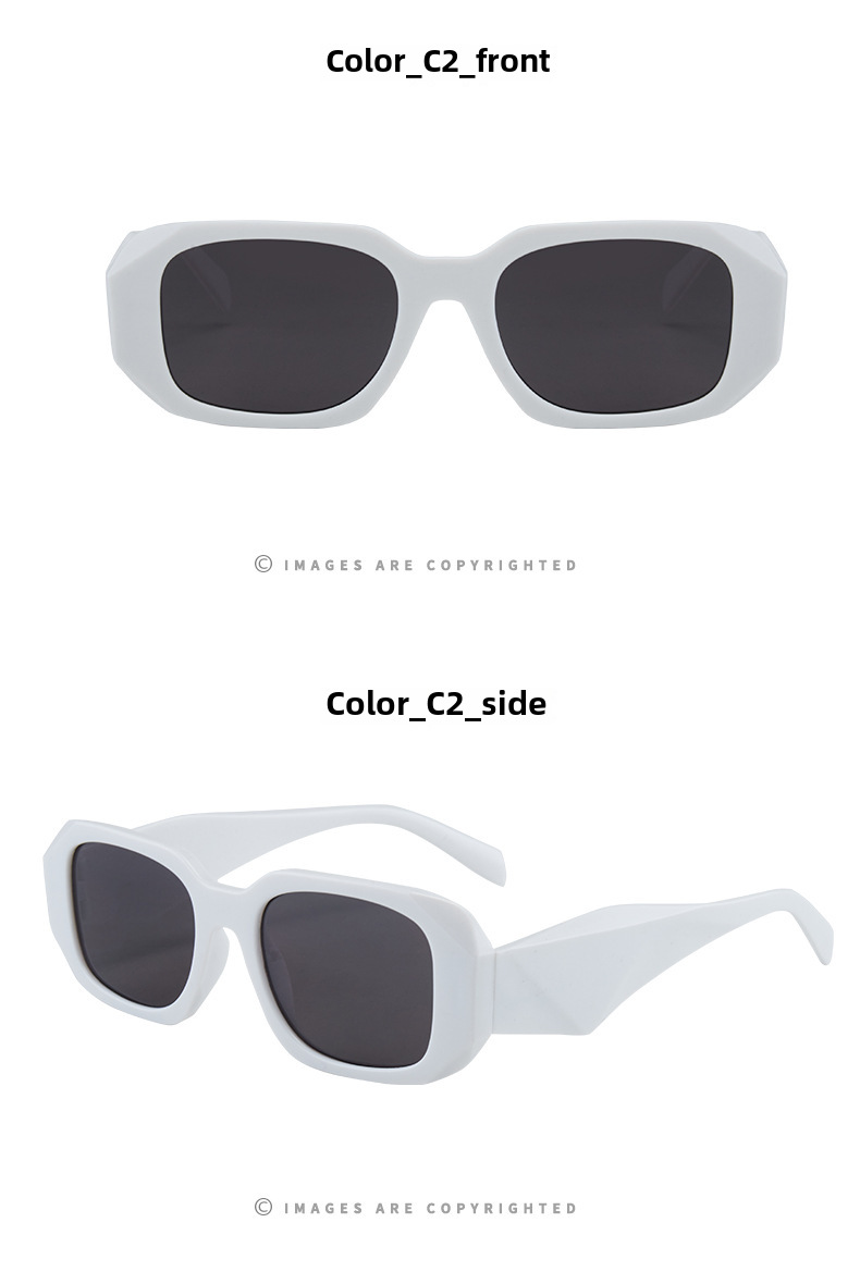 Polygon Women's Sunglasses Small Frame Fashion Street Glasses_voghion.com