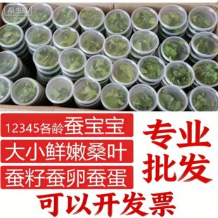 �W���B�Q�����ѻ��w���b��Ȼ��ɫ�O���Q�߲�С���Q1�g234���rɣ�~