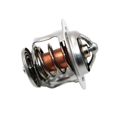 9091603099, Thermostat