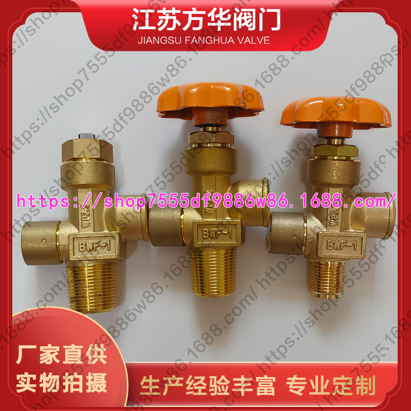 BWF-1型丙烷钢瓶阀门开关液化气体瓶阀角阀瓶嘴子管道管路截止阀