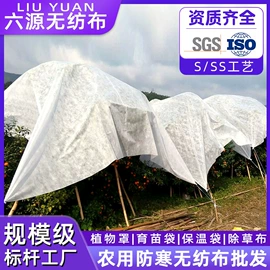 无纺布袋;外卖餐饮包装;纺粘无纺布