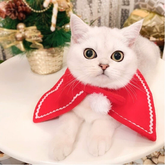 ABLAZE ZAL трансграничная электронная коммерция Рождественская мини-юбка плащ красный Рождественский плюшевый пес кошка плащ принцессы