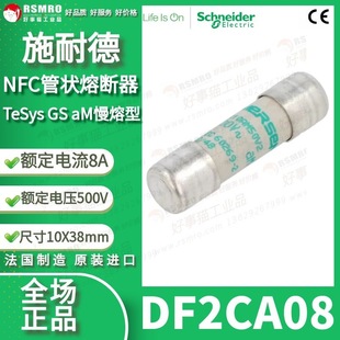 Df2Ca08 Schneider Fuse, Rated Current 8A Voltage 500Vac Size 10X38Mm, Am Type