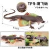 BY8031 soft glue TPR material-spotting flying lizard