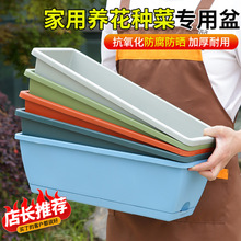 新款霍伦盆阳台家庭长条种菜种花塑料花盆懒人长方形种植槽批发