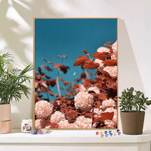 õ�廨�����ͻ�diy���������ֹ���ɫ�Ͳ�װ�λ����������羳����