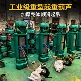 定制固定式环链电动葫芦5/10/16吨钢丝绳电动葫芦 低净空电动葫
