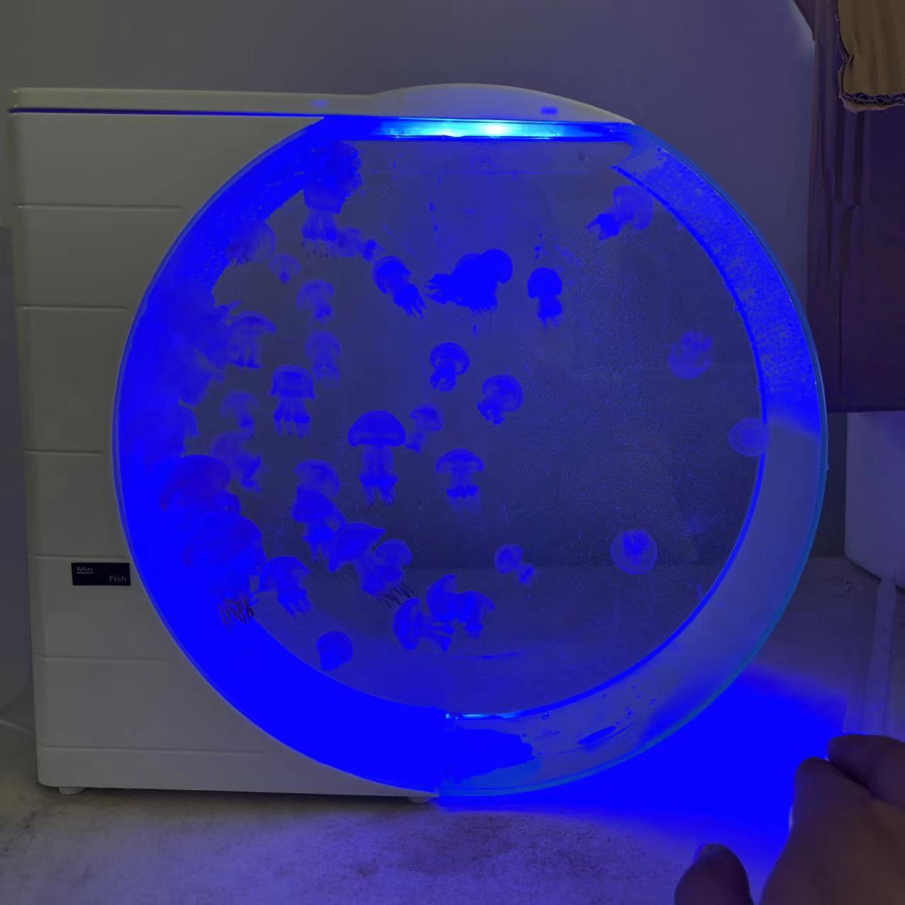 二代水母缸水母专业循环缸灯光展示缸水族养殖缸水族生态鱼缸生日