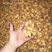 ���J��ȻС���J�������Π��������]�п��Ԕ[��Ұ�������F