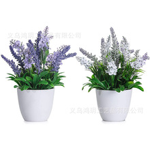 ����ֲ���辰 ����ֲ���b����Կ͏d�ٻ��辰