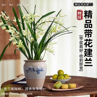 ���F�m�����Ԏ��������mϵ���҃��̨�Gֲ�����ͻ��ܾGֲ���B��