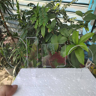 Thickened transparent acrylic plant label bonsai label T-shaped I-shaped round small insert card flower green plant identification card