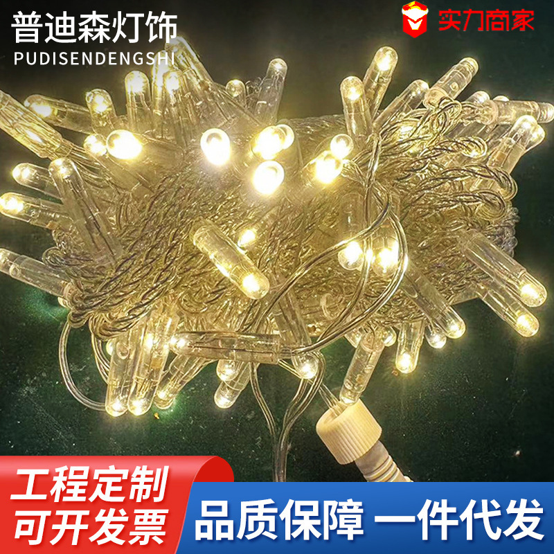 跨境灯串24V10米100灯 圣诞灯串led灯节日亮化装饰灯串灌胶灯串