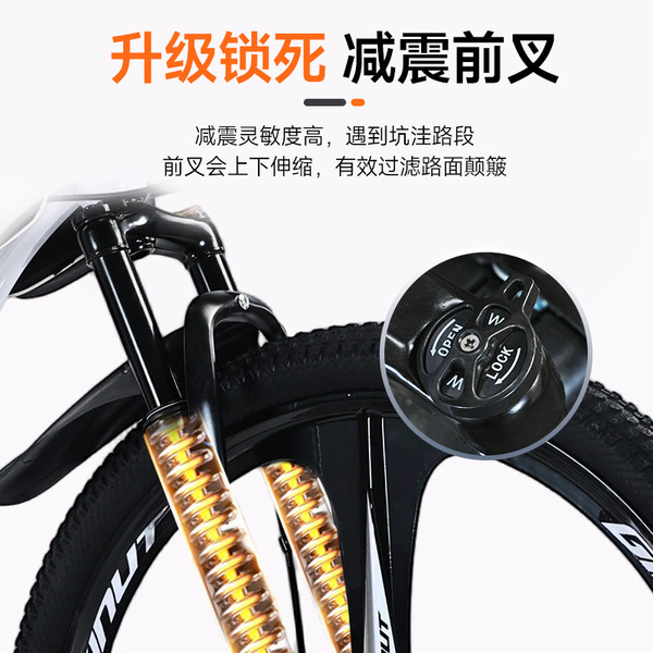 Mountain bike for adults for men and women