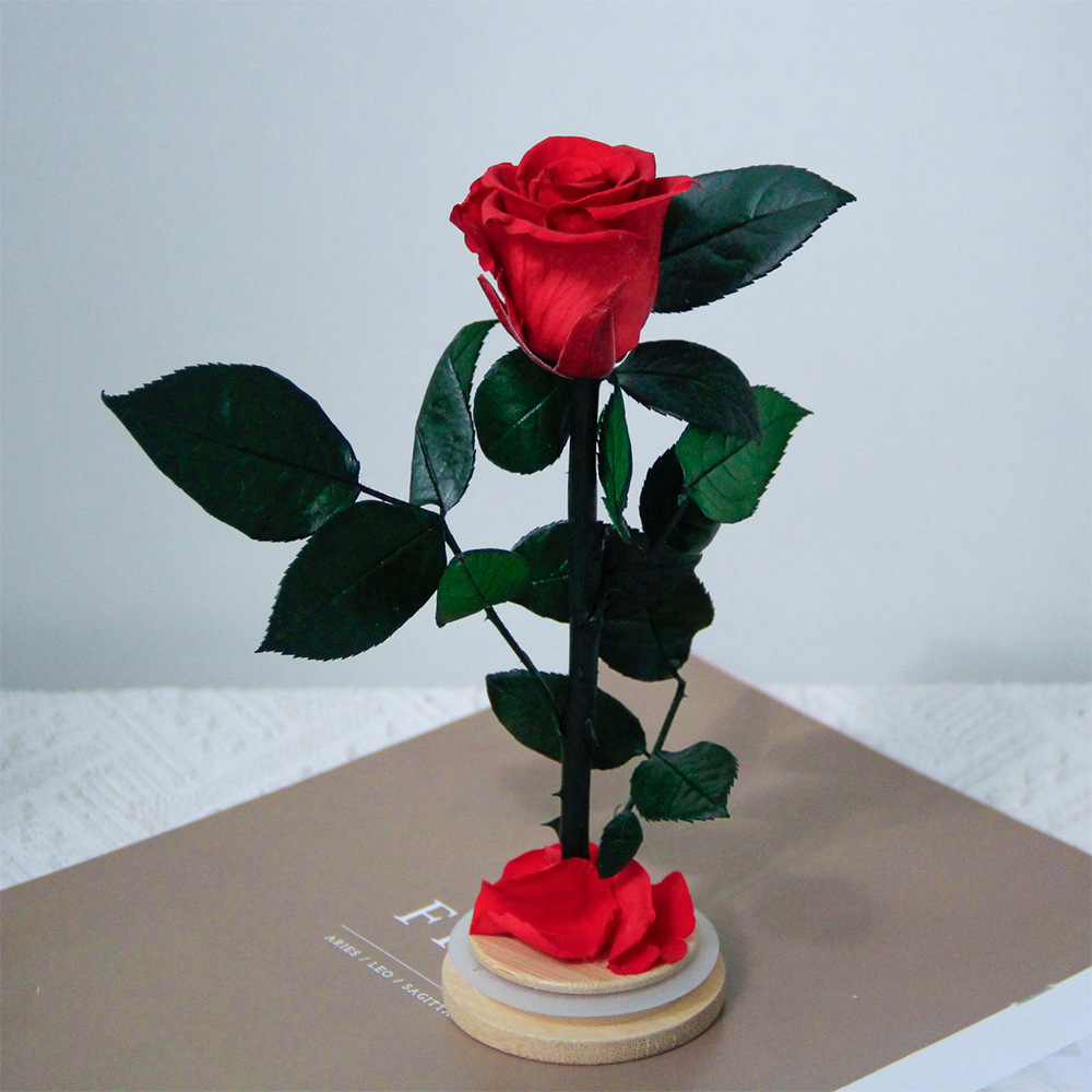 Flor inmortal Little Prince Star Sea Watchman una sola rama de rosa cubierta de vidrio Amazon Día de San Valentín Regalo del Día de la Madre